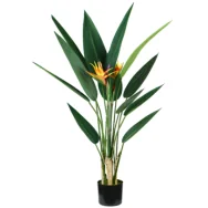 Pianta Ornamentale King Collection - Sterlizia - 120 cm - P2150598 (Verde)