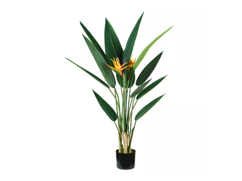 Pianta Ornamentale King Collection - Sterlizia - 120 cm - P2150598 (Verde)