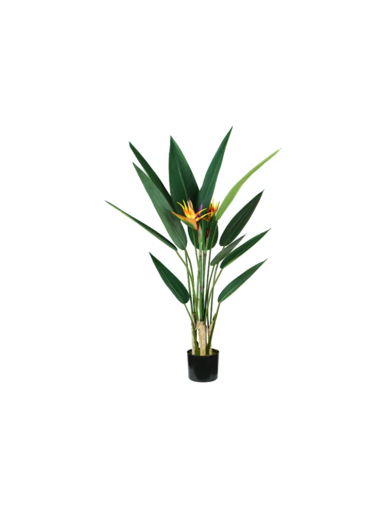 Pianta Ornamentale King Collection - Sterlizia - 120 cm - P2150598 (Verde) Pianta Ornamentale King Collection - Sterlizia - 120 cm - P2150598 (Verde)
