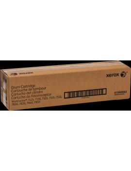 Tamburo Originale Xerox 013R00662 (Nero e Colori 125000 pagine)