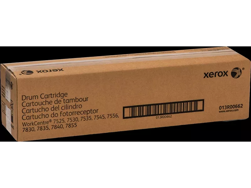 Tamburo Originale Xerox 013R00662 (Nero e Colori 125000 pagine)