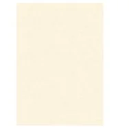 Diploma in Pergamena Kartos - A4 - 160 g - 14-6194 (Avorio Neutro Conf. 10)