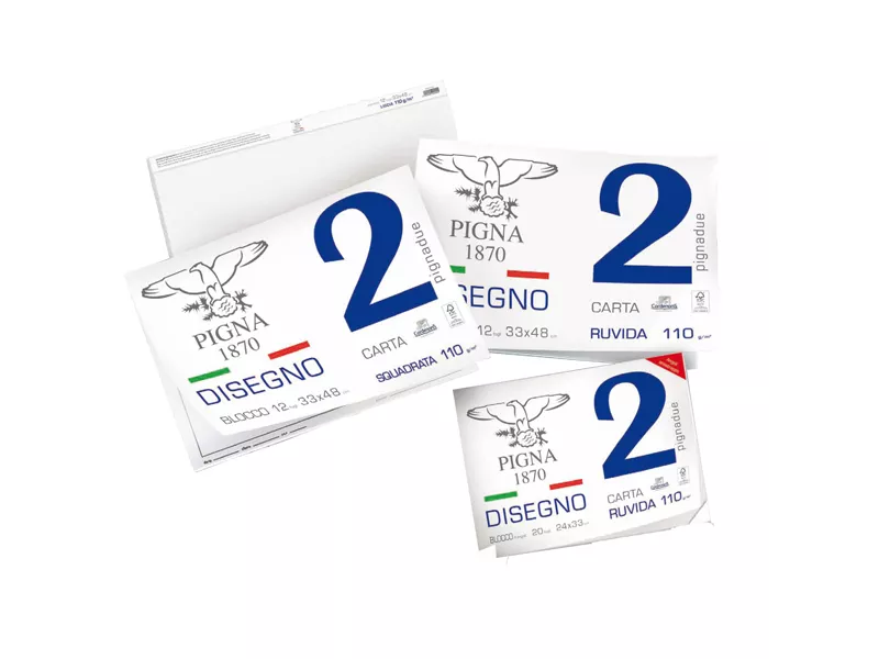 Album da Disegno Pigna 2 - 24x33 cm - Ruvido - 110 g - 0220014OR (Bianco Conf. 10)