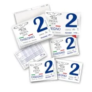 Album da Disegno Pigna 2 - 33x48 cm - Ruvido - 110 g - 0220017OR (Bianco Conf. 10)