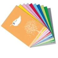 Copriquaderno Maxi Colorosa Green Riplast - 21x30 cm - 3671CG26.FSC (Rosa Conf. 30)