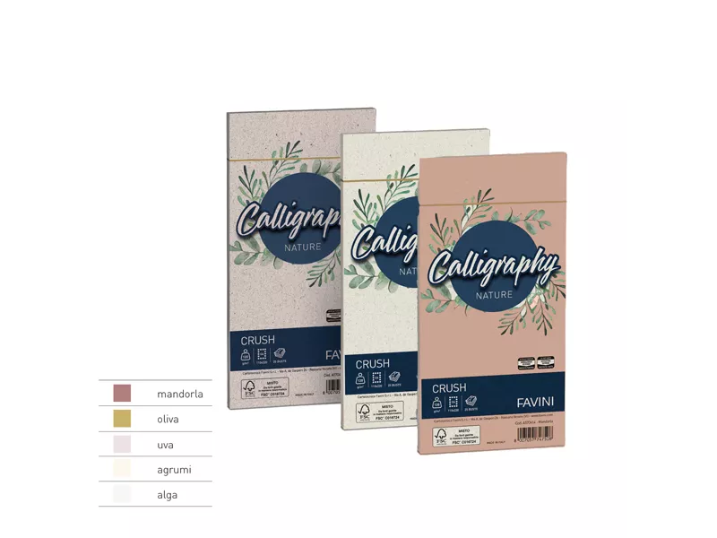 Buste Calligraphy Nature Crush Favini - 11x22 cm - 120 g - A57V104 (Uva Conf. 25)