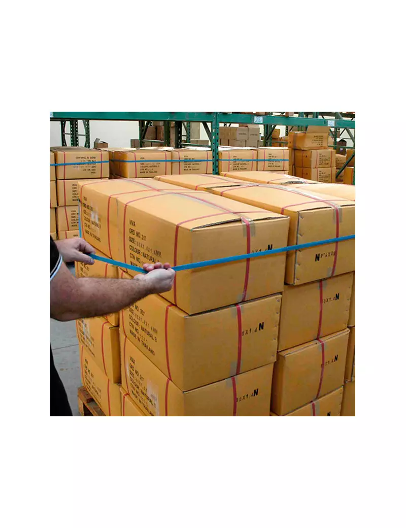 Elastici per Pallet 120x80 cm Viva - 20 mm - P800X20 (Blu Conf. 10) Elastici per Pallet 120x80 cm Viva - 20 mm - P800X20 (Blu Conf. 10)