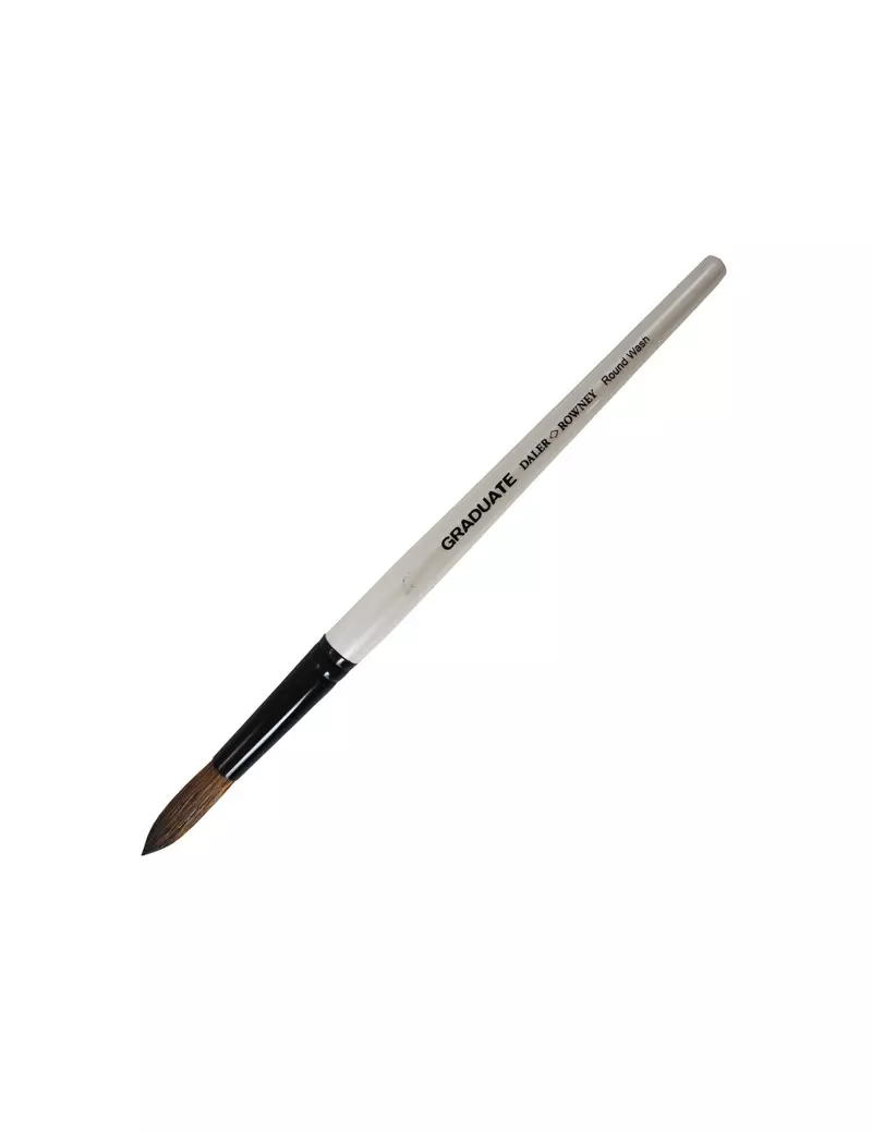 Pennello in Pelo di Pony Graduate Daler-Rowney - Punta Tonda - n. 26 - Manico Corto - D212189026 (Conf. 3) Pennello in Pelo di Pony Graduate Daler-Rowney - Punta Tonda - n. 26 - Manico Corto - D212189026 (Conf. 3)
