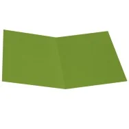 Cartellina in Cartoncino Starline - Semplice - 25x34 cm - 200 g - OD0113BLXXXAJ18 (Verde Nilo Conf. 50)