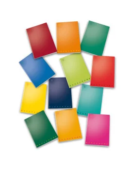Quaderno Monocromo Pigna - A4 - Righe 2C con Margini - 02298872C (Assortiti Conf. 10)
