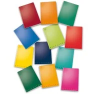 Quaderno Monocromo Pigna - A4 - Righe 2C con Margini - 02298872C (Assortiti Conf. 10)