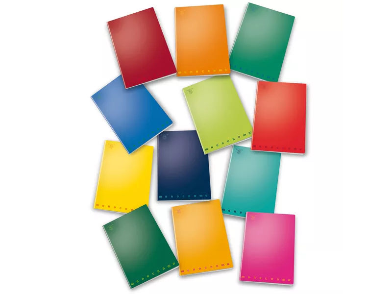 Quaderno Monocromo Pigna - A4 - Righe 2C con Margini - 02298872C (Assortiti Conf. 10)
