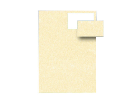Biglietti da Visita Decadry - Microperforati - 85x54 mm - 165 g - T012028 (Champagne Conf. 120)