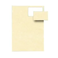 Biglietti da Visita Decadry - Microperforati - 85x54 mm - 165 g - T012028 (Champagne Conf. 120)