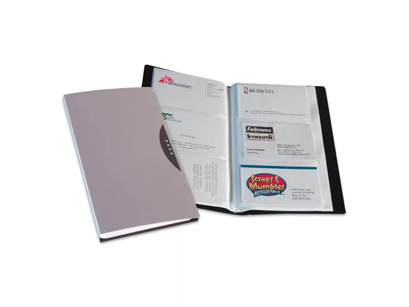 Portabiglietti da Visita Office Suites Fellowes - 240 Biglietti - 11,4x19,2 cm - 40350 (Argento)