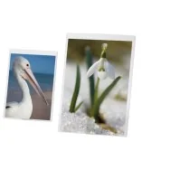 Portadepliant da Tavolo in PVC Semirigido Lebez - 32x44 cm - 5253 (Trasparente)