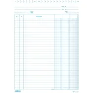 Schede in Cartoncino a 2 Colonne Edipro - 15x21 cm - E3329BL (Conf. 100)