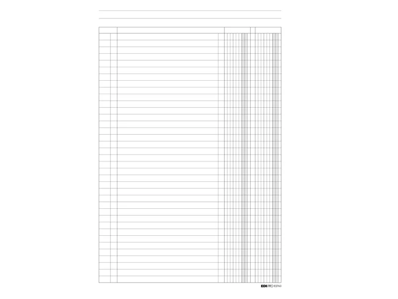 Registro a 2 Colonne Edipro - 24x31 cm - 100 Pagine - E2763