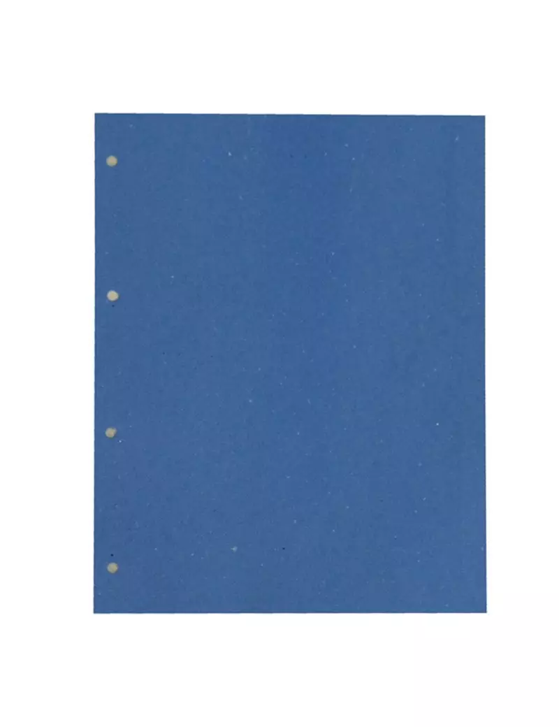 Separatori Manilla Cartiere del Garda - 22x30 cm - 200 g - CG0810MLXXXAL06 (Azzurro Conf. 200) Separatori Manilla Cartiere del Garda - 22x30 cm - 200 g - CG0810MLXXXAL06 (Azzurro Conf. 200)