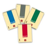 Blocco Spiralato Pignastyl Pigna - A5 - 1 Rigo senza Margini - 60 Fogli - 02156271R (Conf. 10)