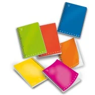 Blocco Spiralato Monocromo Pigna - A4 - Quadretti 5 mm senza Margini - 70 Fogli - 02155555M (Assortiti Conf. 5)