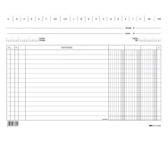 Schede in Cartoncino a 3 Colonne Edipro - 24x17 cm - E3369BL (Conf. 100)