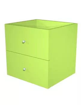 Cassetti per Libreria a Caselle Maxicube - 32,5x28,8x32,5 cm - 2CMAXC/V (Verde Neon Conf. 2)