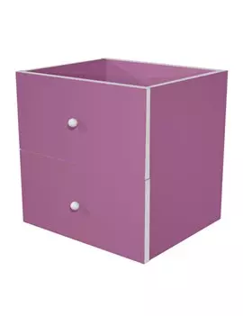 Cassetti per Libreria a Caselle Maxicube - 32,5x28,8x32,5 cm - 2CMAXC/S (Viola Conf. 2)