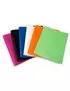 Portalistino Fluo Lebez - 22x30 cm - 20 Buste - 80449 (Assortiti Fluo Conf. 12)