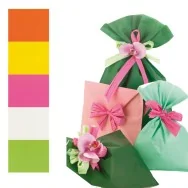 Busta Regalo Mat Pearly B senza Patella Adesiva PNP - 25x40 cm - UD805PRR25X40 (Assortiti Conf. 100)