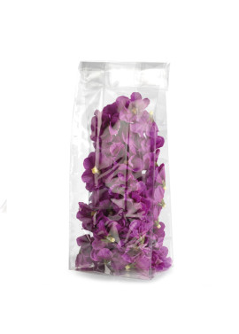 Busta Regalo Crystal con Fondo Quadro PNP - 10x30x6 cm - US010TNN Y02NN (Trasparente Conf. 100)