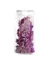Busta Regalo Crystal con Fondo Quadro PNP - 12x37x7 cm - US010TNN Y04NN (Trasparente Conf. 100)