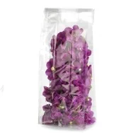 Busta Regalo Crystal con Fondo Quadro PNP - 6x20x5 cm - US010TNN-6X20 (Trasparente Conf. 100)