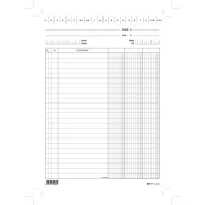 Schede in Cartoncino a 3 Colonne Edipro - 17x24 cm - E3406BL (Conf. 100)