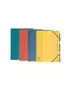 Classificatore Numerico 1-12 Nature Future Exacompta - 12 Scomparti - 5212E (Assortiti)