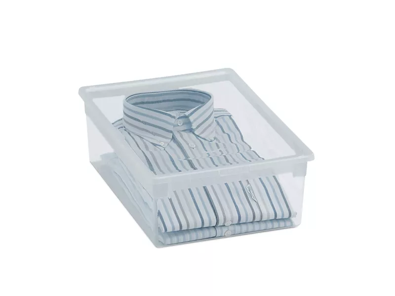 Contenitore Multiuso Light Box M Terry Store Age - 27,8x39,6x13,2 cm - 12 Litri - 1001379 (Trasparente)