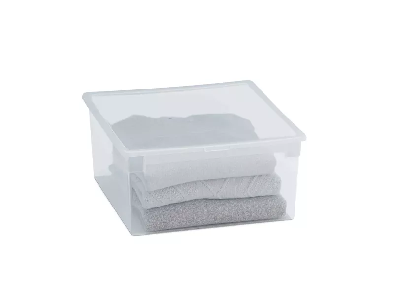 Contenitore Multiuso Light Box L Terry Store Age - 37,8x39,6x18,5 cm - 23 Litri - 1001380 (Trasparente)