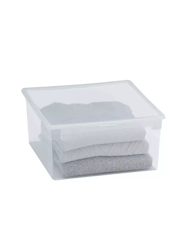 Contenitore Multiuso Light Box L Terry Store Age - 37,8x39,6x18,5 cm - 23 Litri - 1001380 (Trasparente) Contenitore Multiuso Light Box L Terry Store Age - 37,8x39,6x18,5 cm - 23 Litri - 1001380 (Trasparente)