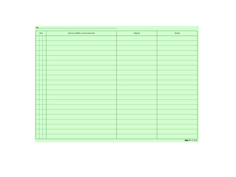 Schede in Cartoncino per Medici Generici Edipro - 24x17 cm - E3530 (Verde Conf. 100)