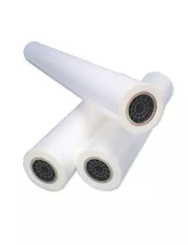 Pellicola Lucida Nap2 per Plastificazione - 635 mm x 150 m - 38 Micron - 3400293 (Trasparente Conf. 2)