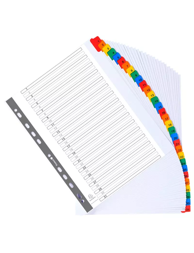 Separatore Numerico 1/31 Exacompta - A4 Maxi - 4131E (Bianco) Separatore Numerico 1/31 Exacompta - A4 Maxi - 4131E (Bianco)