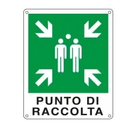 Cartello di Segnalazione - Punto di Raccolta - 25x31 cm - E20153X (Bianco e Verde)