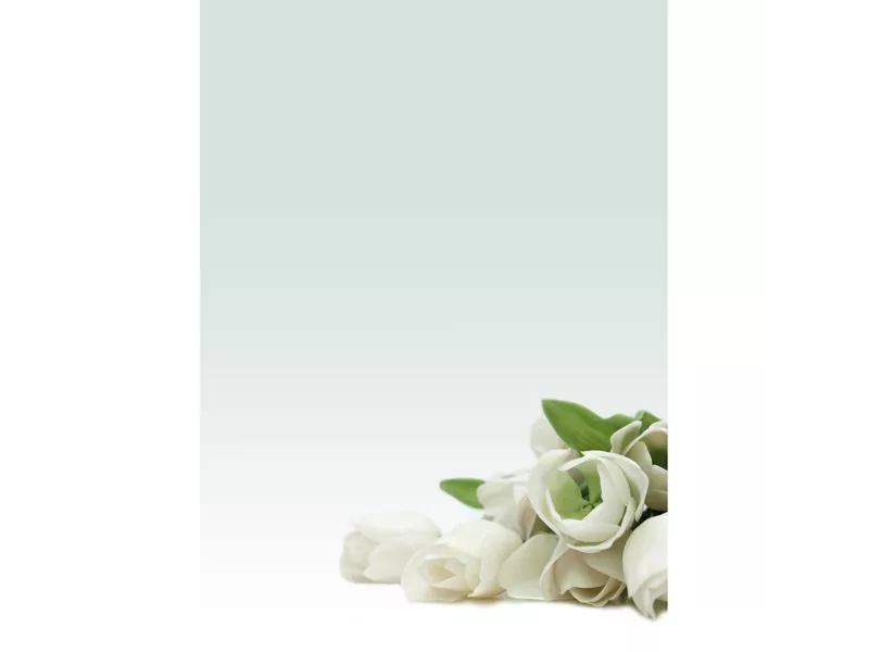 Carta Pergamenata Decadry - A4 - 90 g - Stampa Rosa Bianca - T036126 (Avorio Conf. 20) Carta Pergamenata Decadry - A4 - 90 g - Stampa Rosa Bianca - T036126 (Avorio Conf. 20)