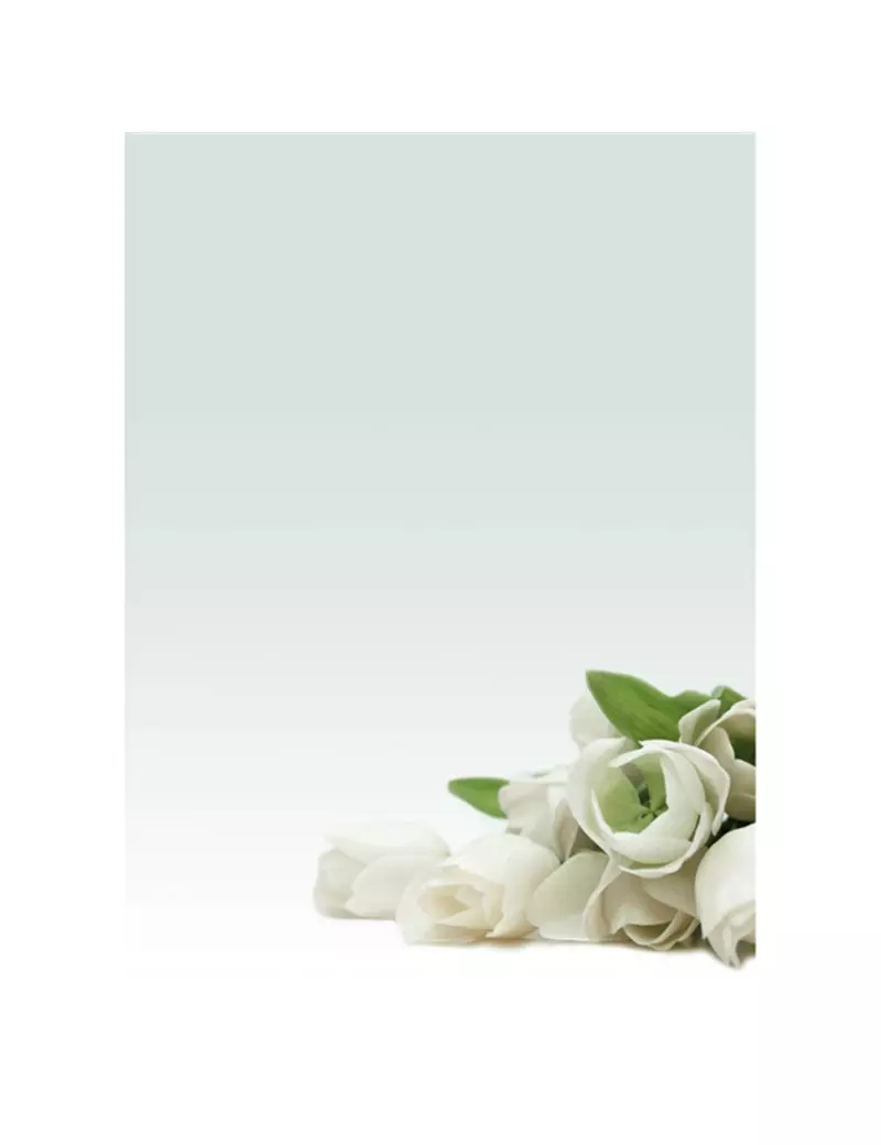 Carta Pergamenata Decadry - A4 - 90 g - Stampa Rosa Bianca - T036126 (Avorio Conf. 20) Carta Pergamenata Decadry - A4 - 90 g - Stampa Rosa Bianca - T036126 (Avorio Conf. 20)
