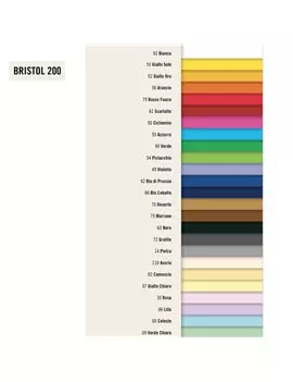 Cartoncino Colorato Bristol 200 Liscio Favini - 70x100 cm - 200 g - A3580A1 (Marrone Conf. 10)