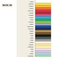 Cartoncino Colorato Bristol 200 Liscio Favini - 70x100 cm - 200 g - A3580A1 (Marrone Conf. 10)