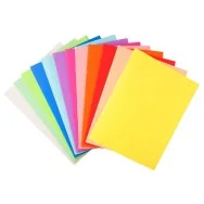 Cartellina in Cartoncino Forever Exacompta - Semplice - 24x32 cm - 220 g - 410000E (Assortiti Conf. 100)