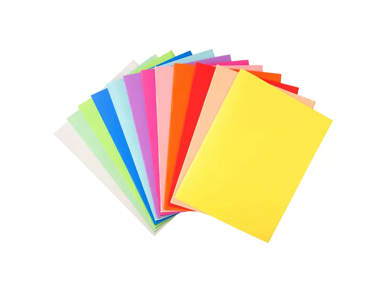 Cartellina in Cartoncino Forever Exacompta - Semplice - 24x32 cm - 220 g - 410000E (Assortiti Conf. 100)