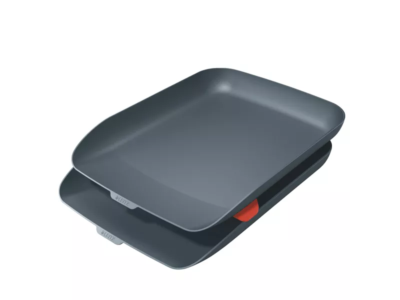 Vaschetta Portacorrispondenza Cosy Leitz - Doppia - 53581089 (Grigio)