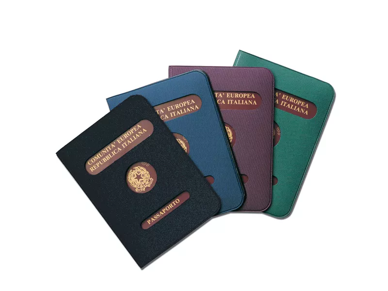 Porta Passaporto Alplast - 13,5x19,7 cm - 1012 (Assortiti Conf. 24)